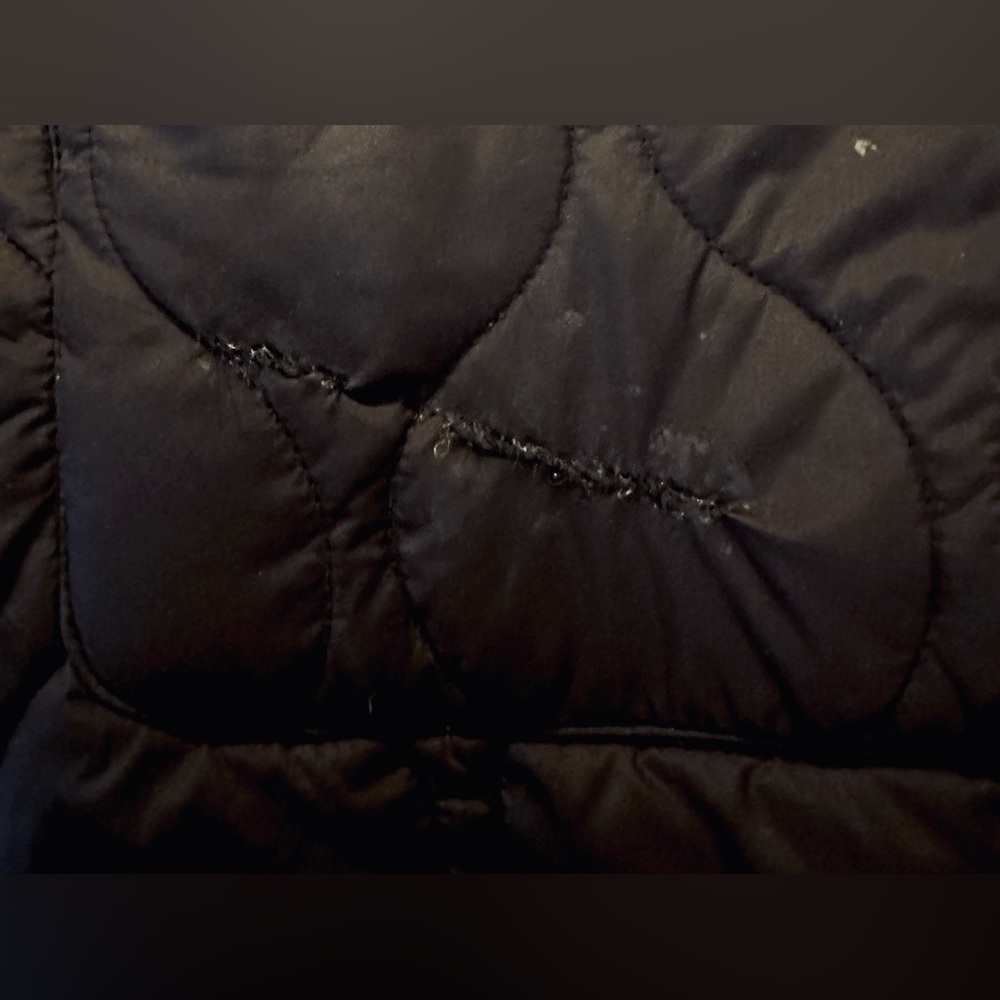 Zella Black Quilted Puffer Jacket with Knit Collar - Picture 6 of 7